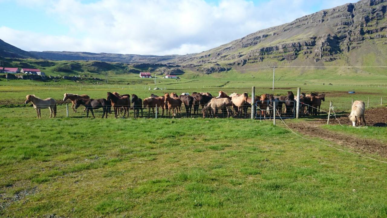 Laekjarhus Farm Holidays Borgarhofn Exterior photo